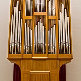 Órgano