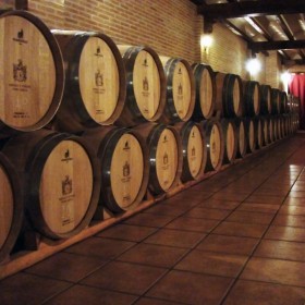 Bodegas y Viñedos Pedro García