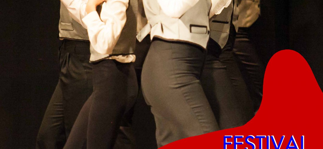 Festival Fin de curso, zarzuela y flamenco