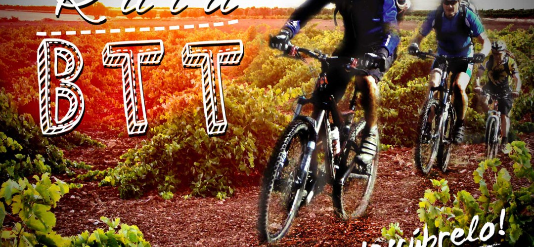 CicloTurismo entre viñedos
