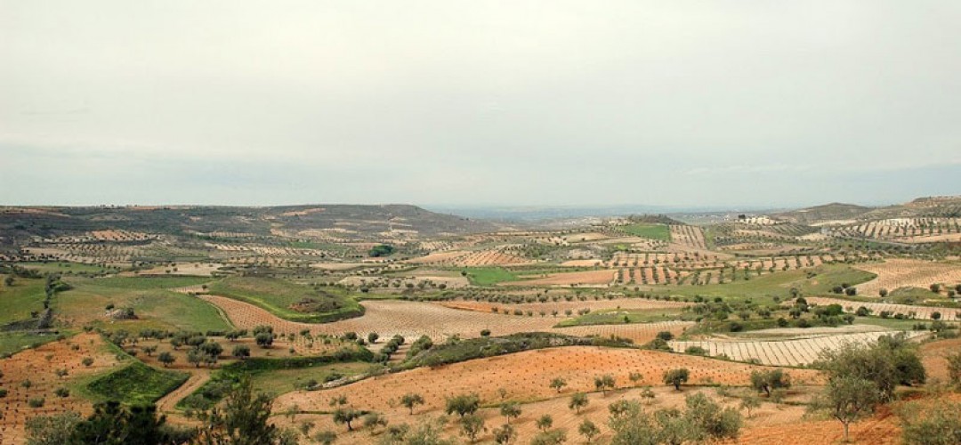 Páramo de la Vega